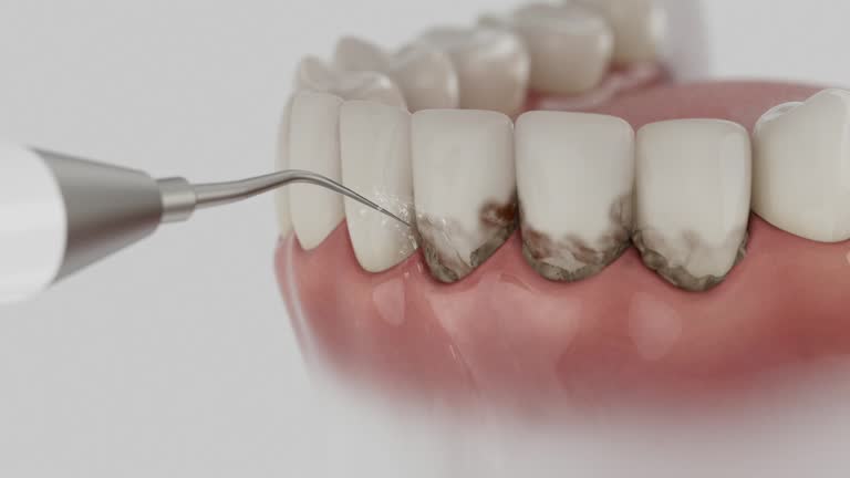 Reliable Dental contractor in Orange County County, NC by Dentist Open Now